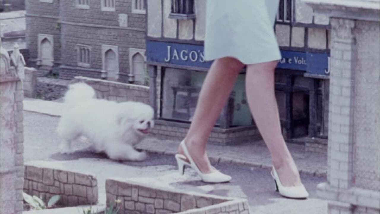 Backdrop – One Summer in Somerset