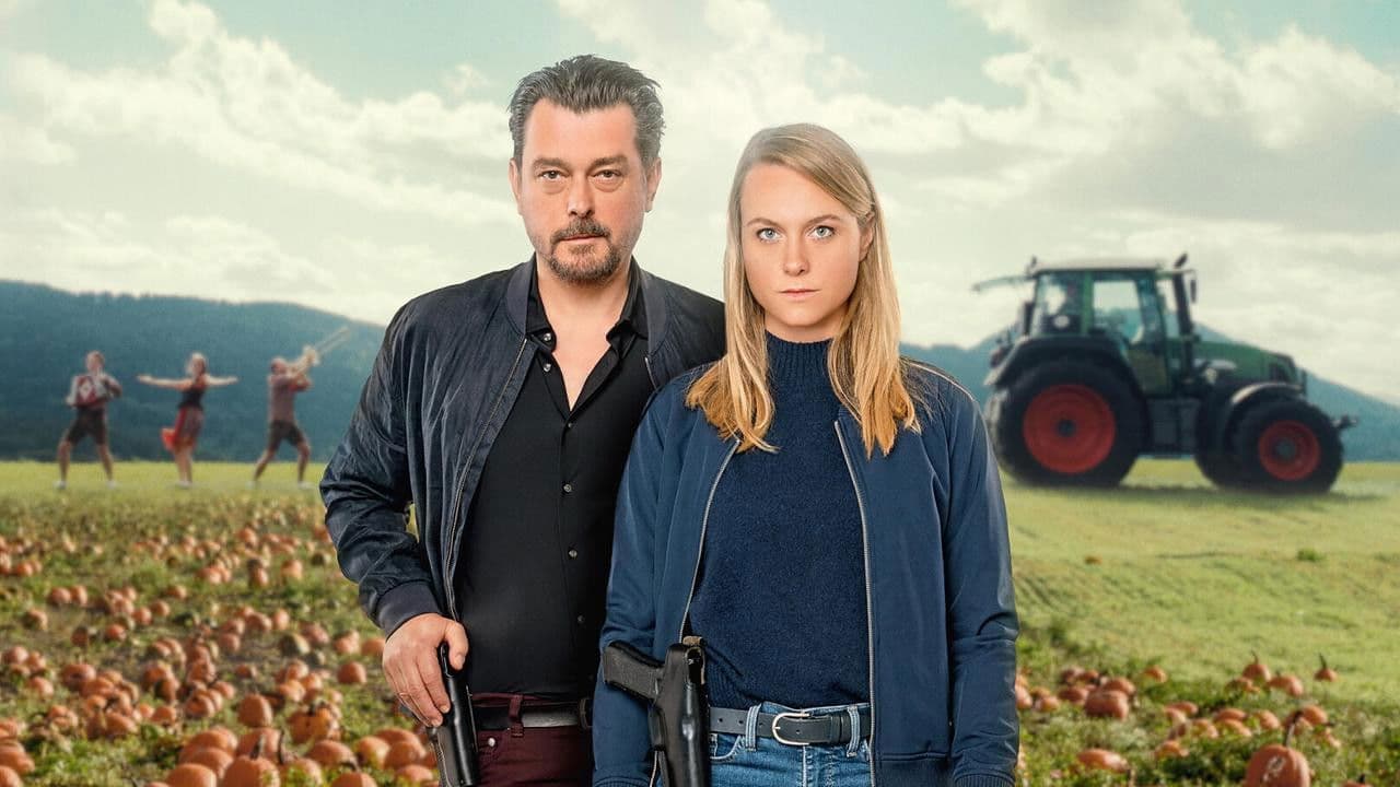 Backdrop – Steirerstern