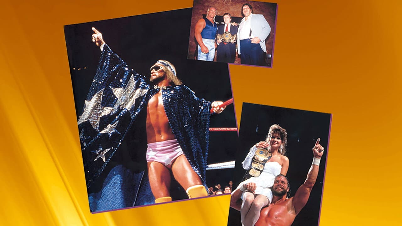Backdrop – WWE WrestleMania IV