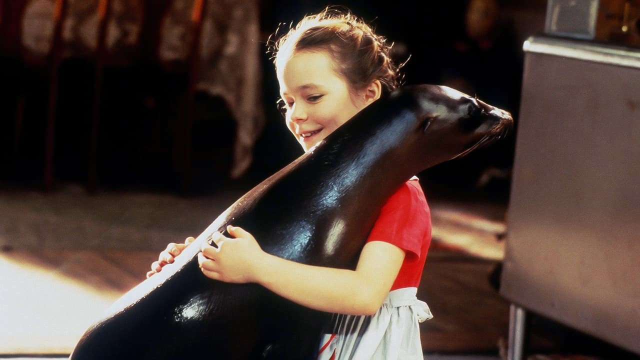 Backdrop – André – Die kleine Robbe