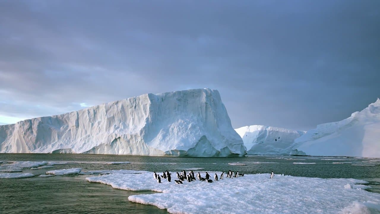 Backdrop – Antarctica: On the Edge