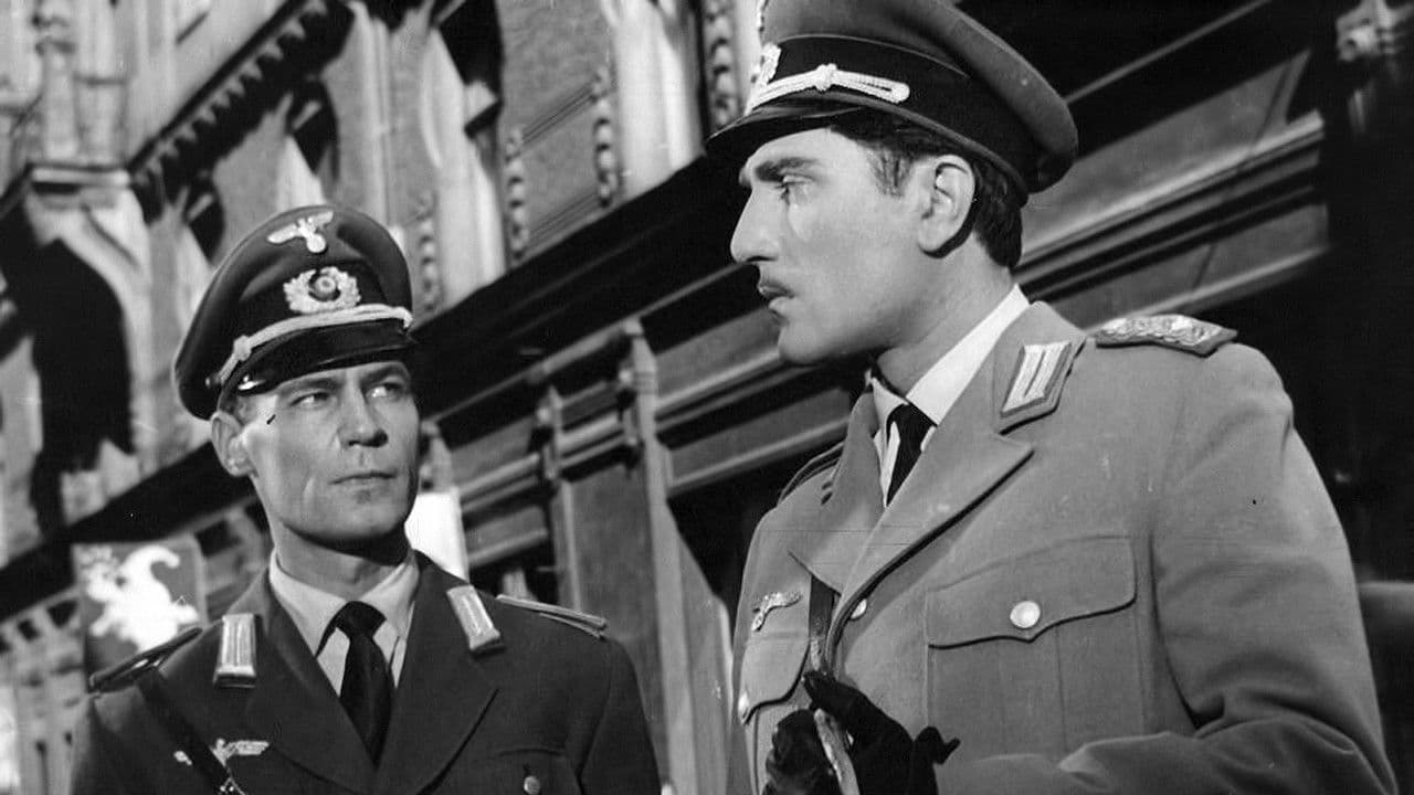 Backdrop – Uzaq sahillərdə