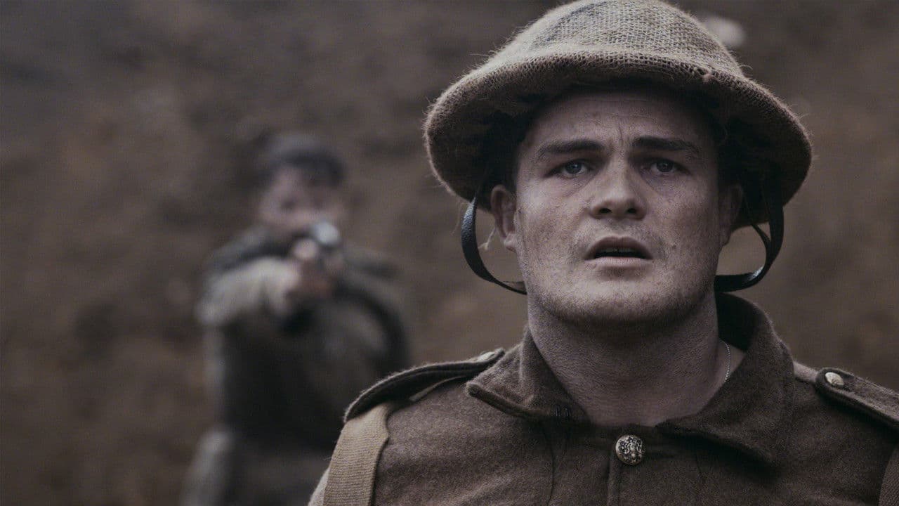 Backdrop – Kamerad