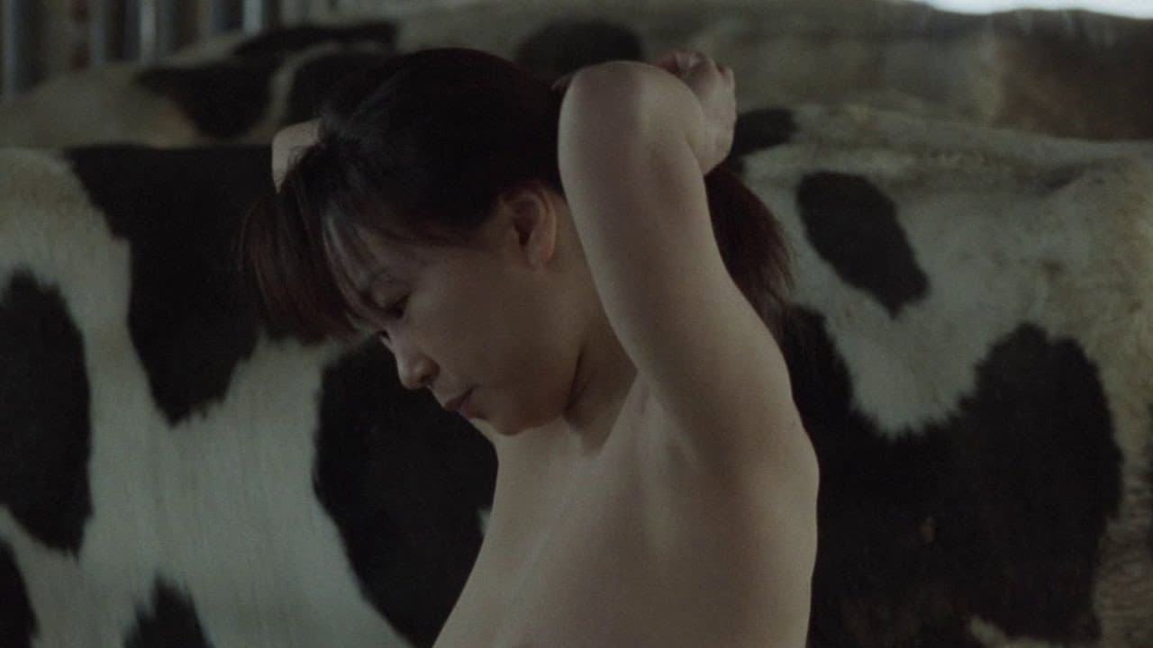 Backdrop – A Lonely Cow Weeps at Dawn
