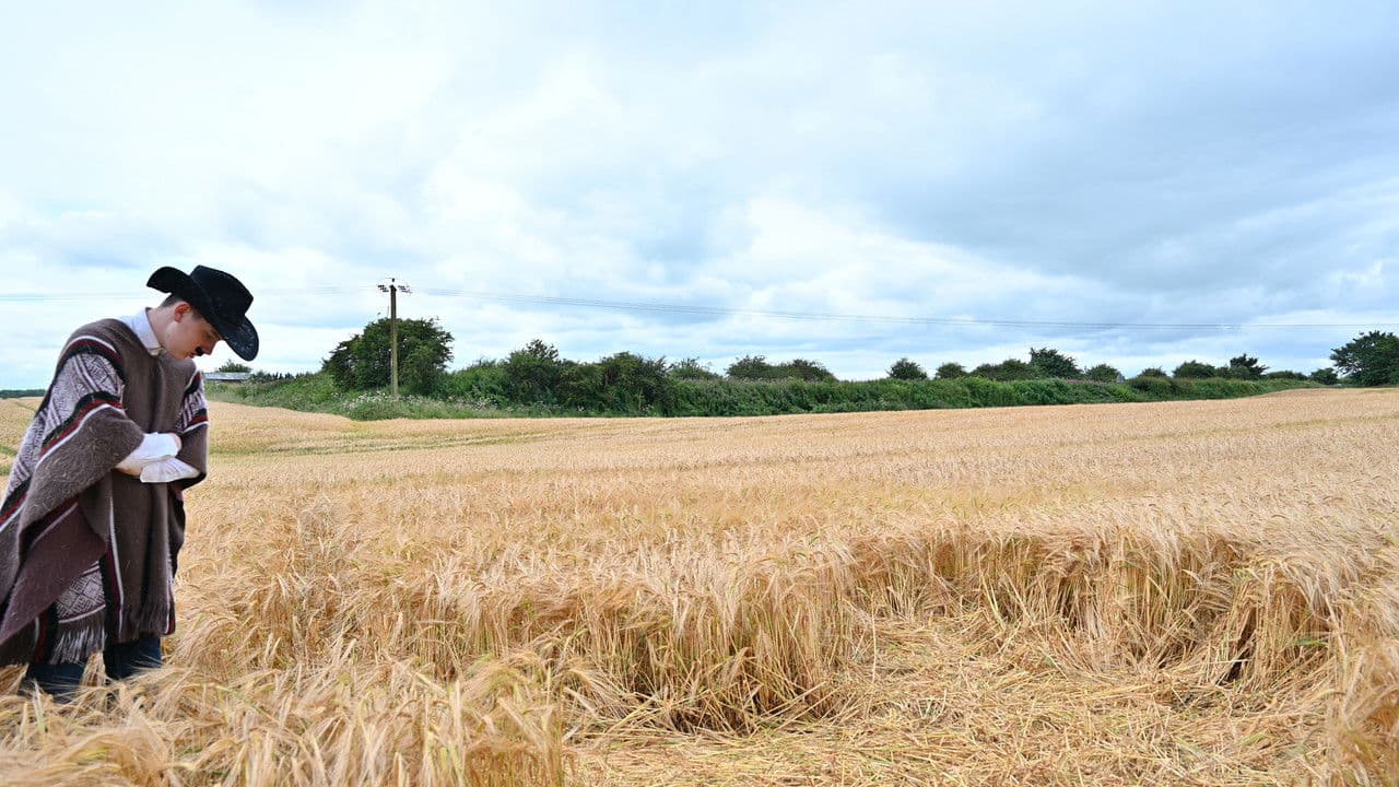 Backdrop – The Distributor