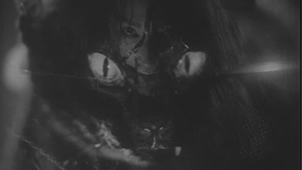Backdrop – 怪談 鍋島の猫