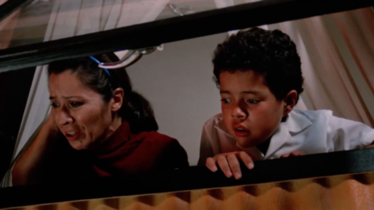 Backdrop – Rojo amanecer