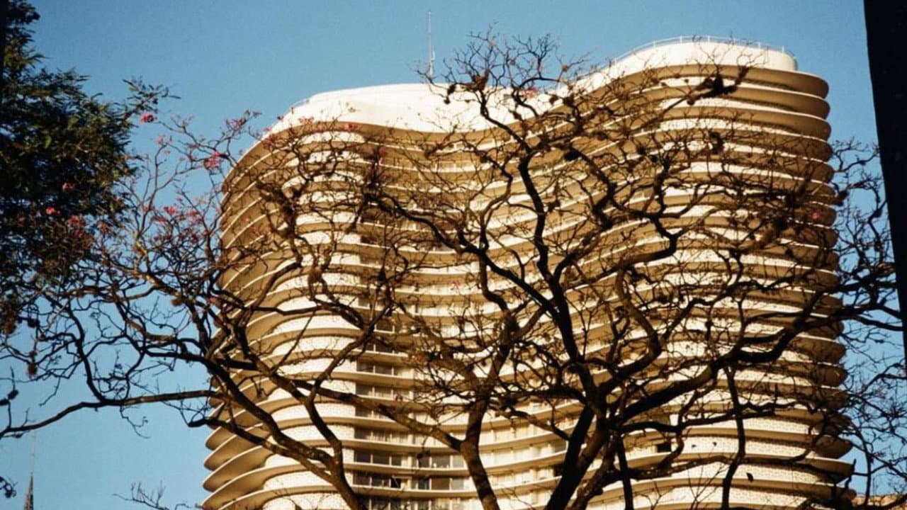 Backdrop – Bassman