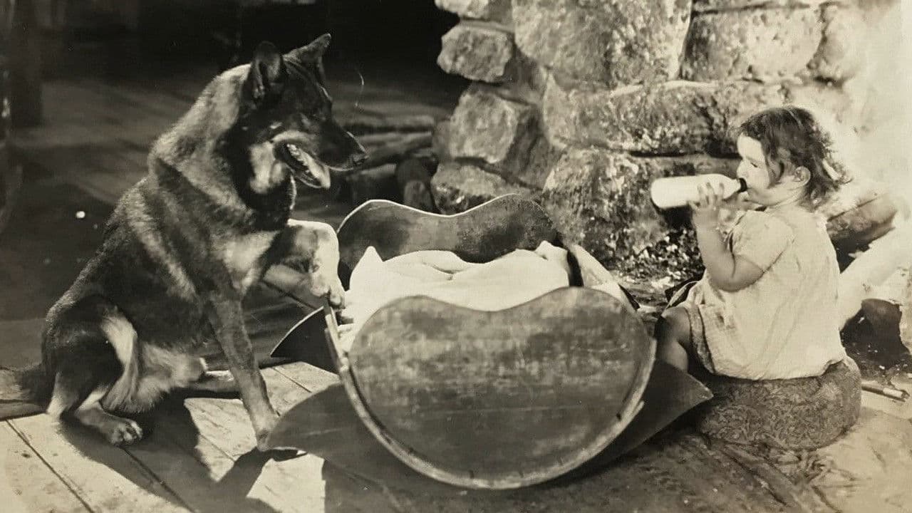 Backdrop – The Night Cry