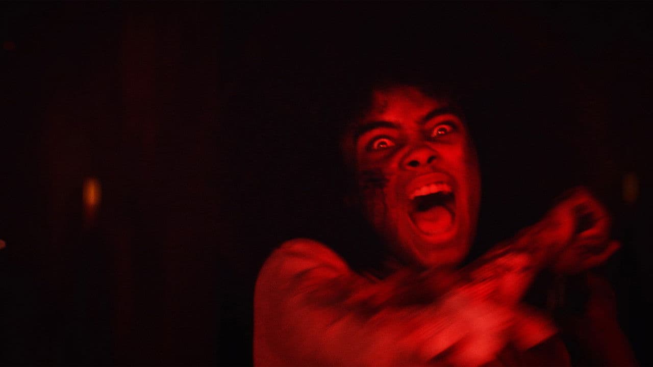 Backdrop – Martillo