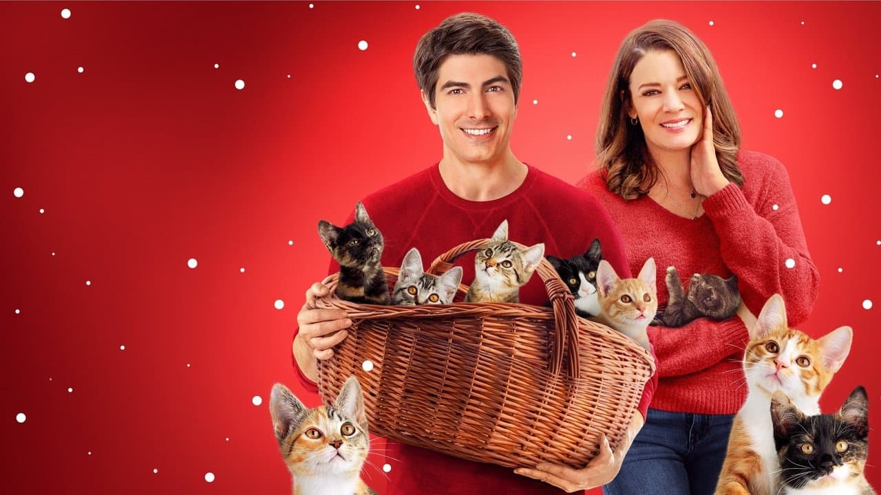 Backdrop – Neun Kätzchen zu Weihnachten - Eine samtige Bescherung 2