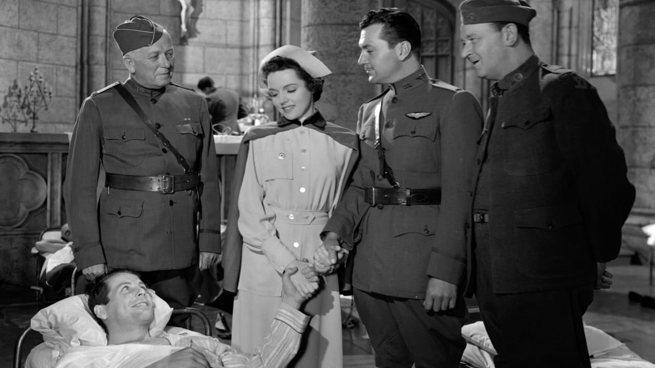 Backdrop – Army Surgeon