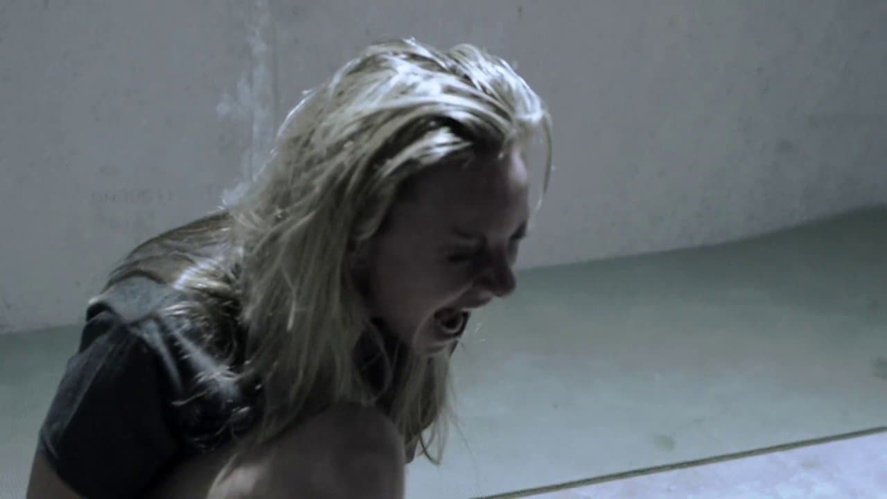 Backdrop – Human Zoo