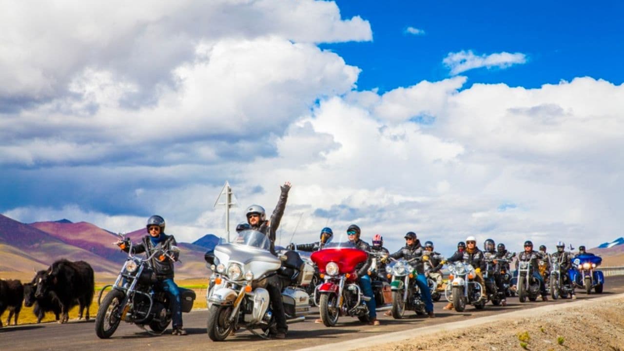 Backdrop – Redemption with Life