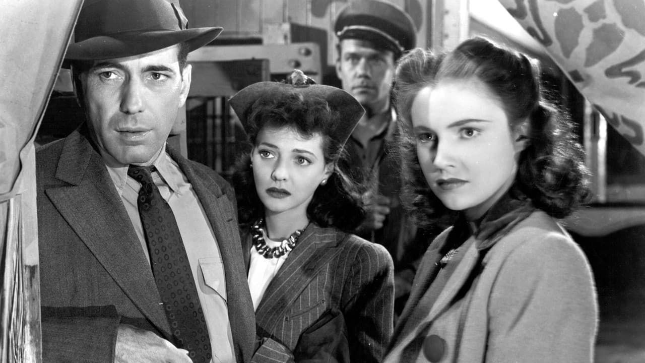 Backdrop – Von Stadt zu Stadt