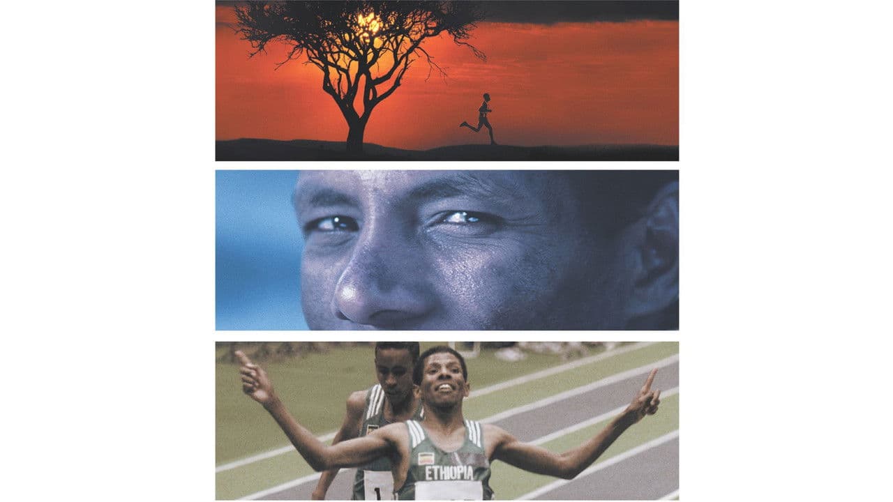 Backdrop – Endurance