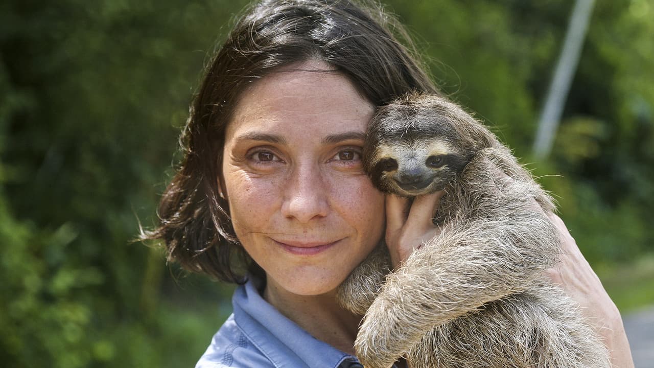 Backdrop – A Sloth Named Velcro