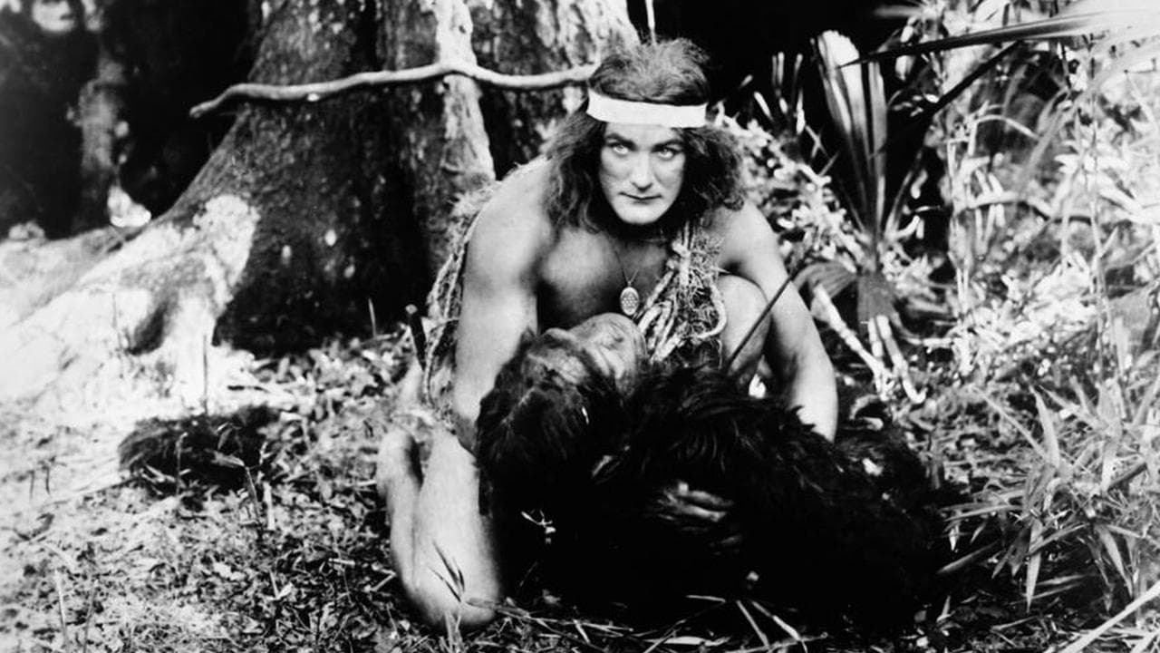 Backdrop – Tarzan bei den Affen
