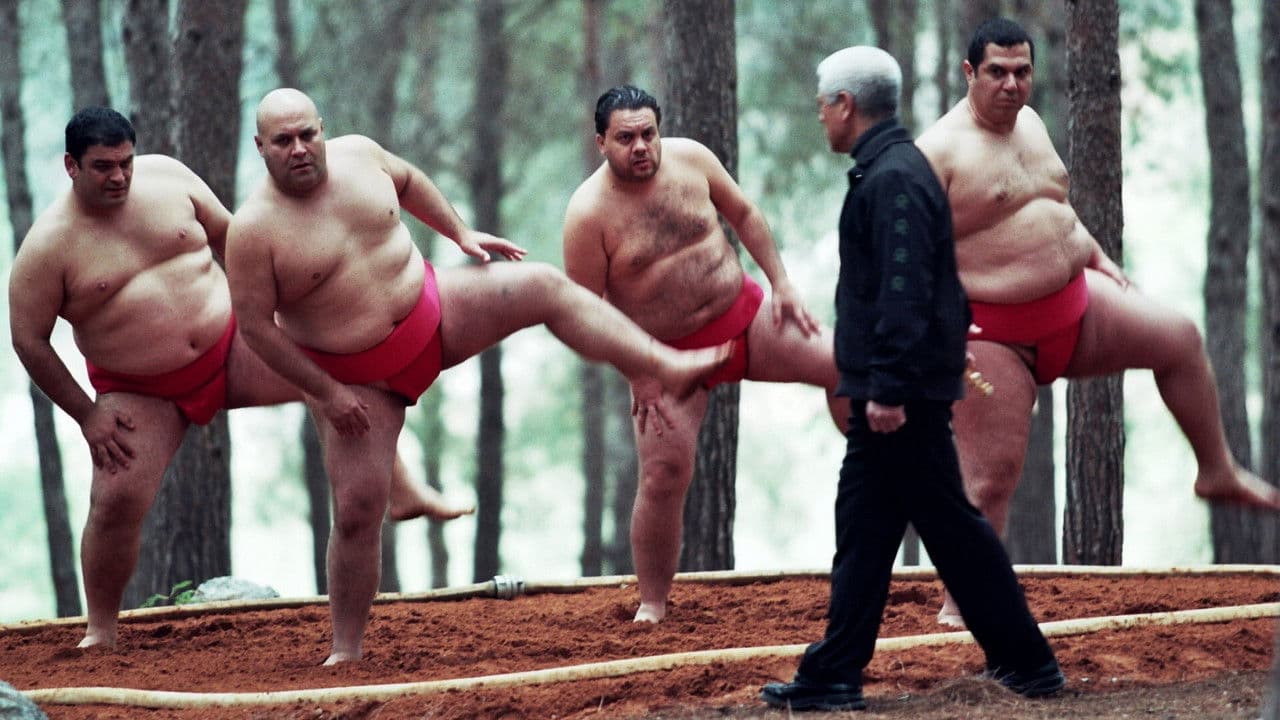 Backdrop – Sumo - Eine Frage der Größe