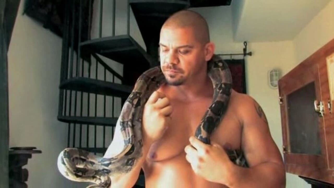 Backdrop – The Butch Factor