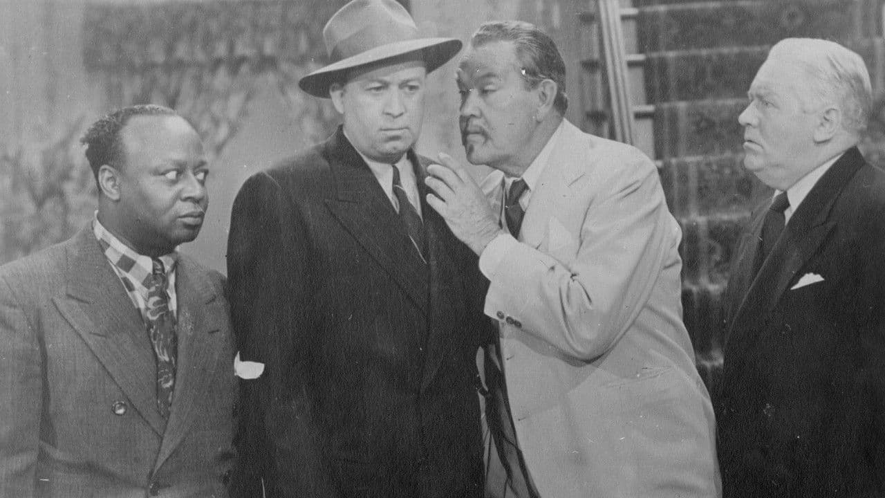 Backdrop – Black Magic