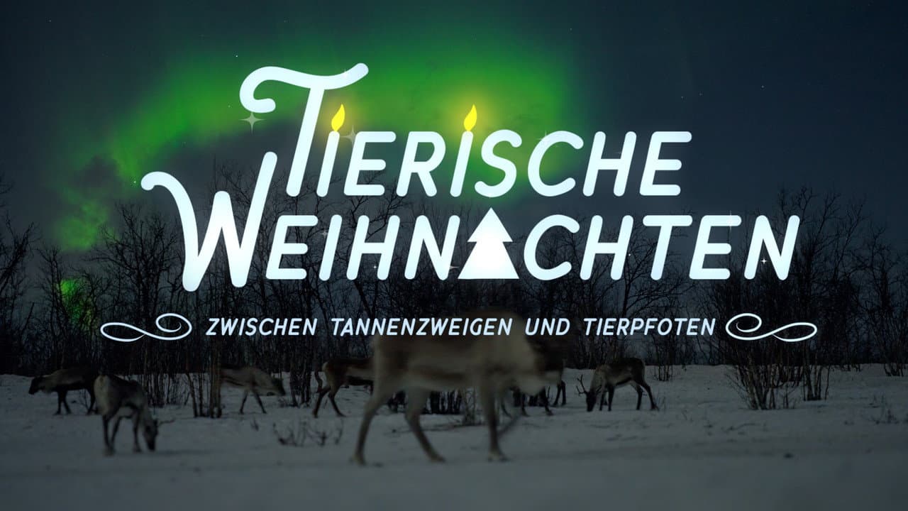 Backdrop – Tierische Weihnachten - Zwischen Tannenzweigen und Tierpfoten