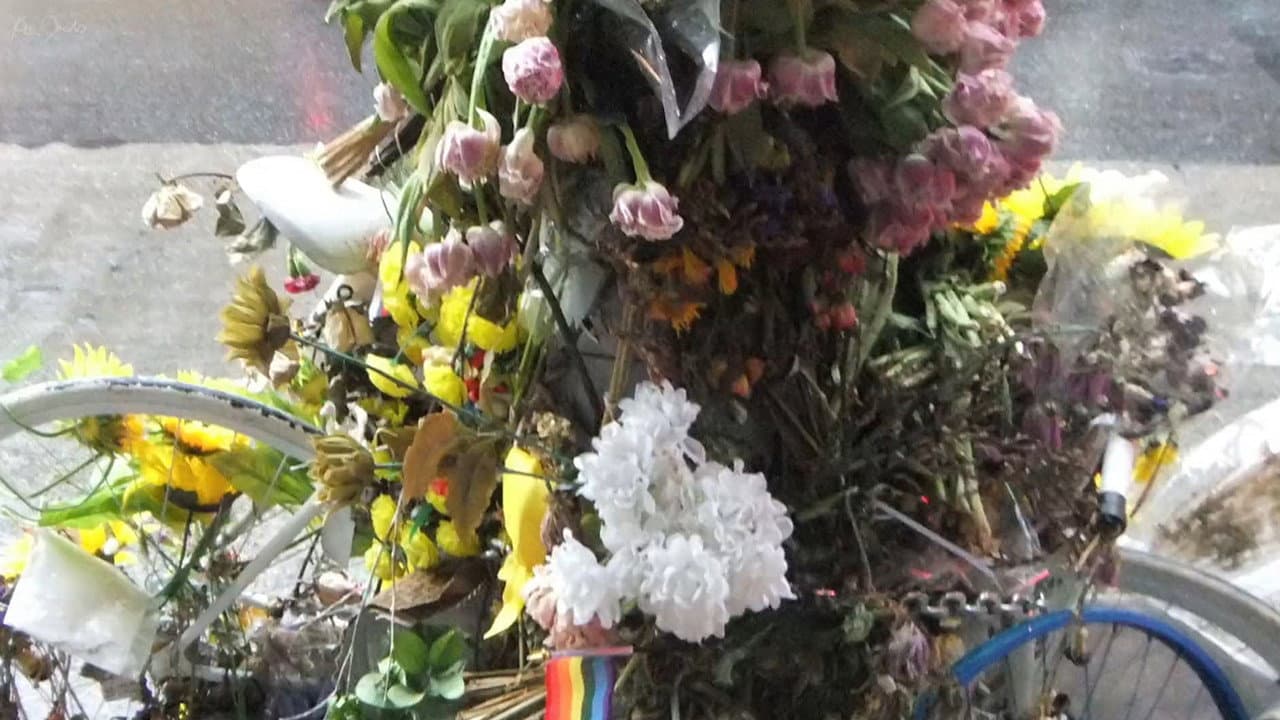 Backdrop – Flowers and Bike