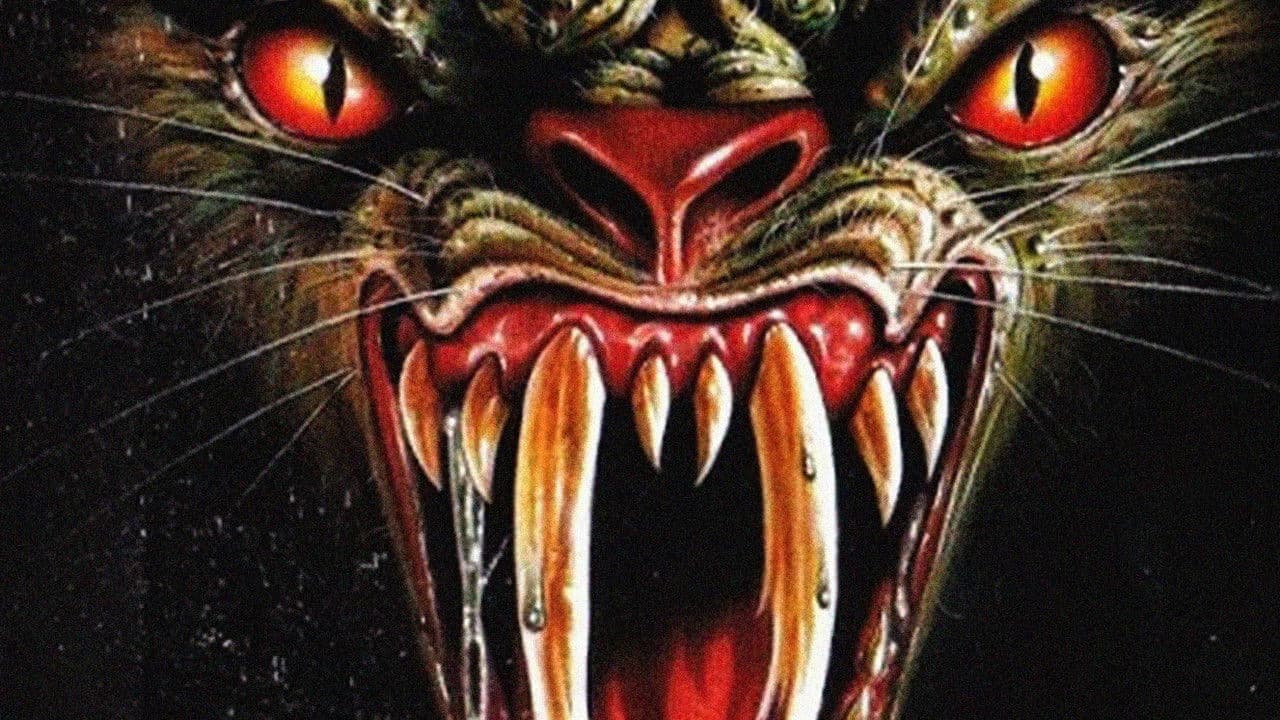 Backdrop – Die Stunde der Ratte