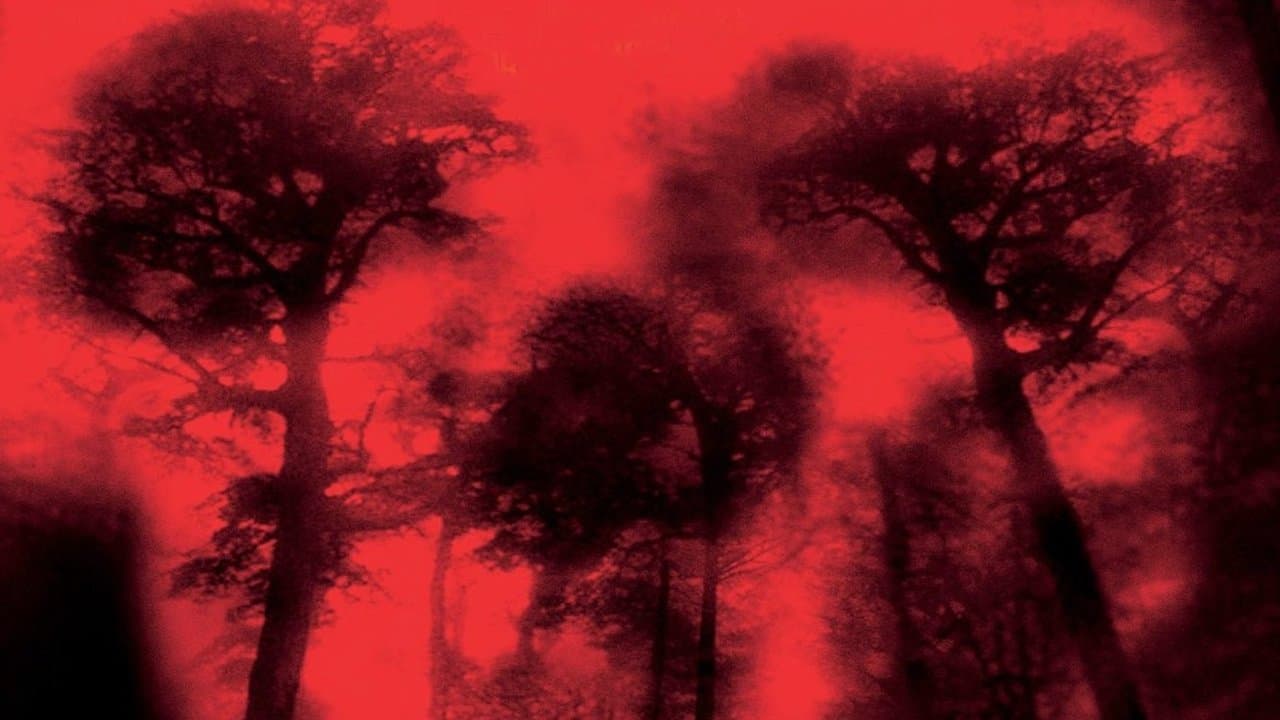 Backdrop – Cabin Fever