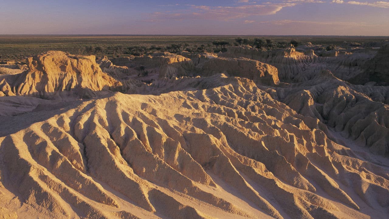 Backdrop – Message from Mungo