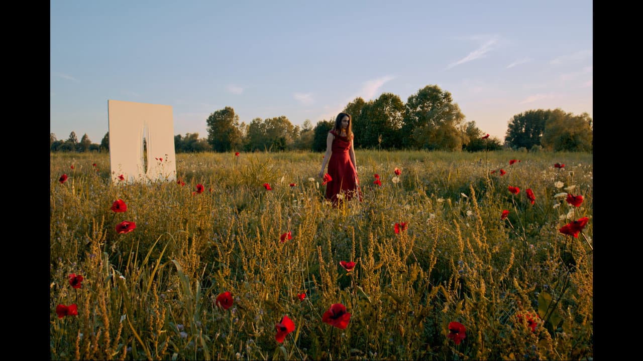 Backdrop – I Papaveri Sono Alti Alti Alti