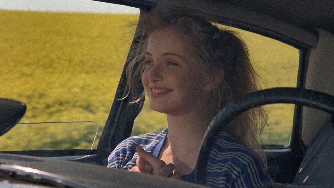 Backdrop – Homo Faber