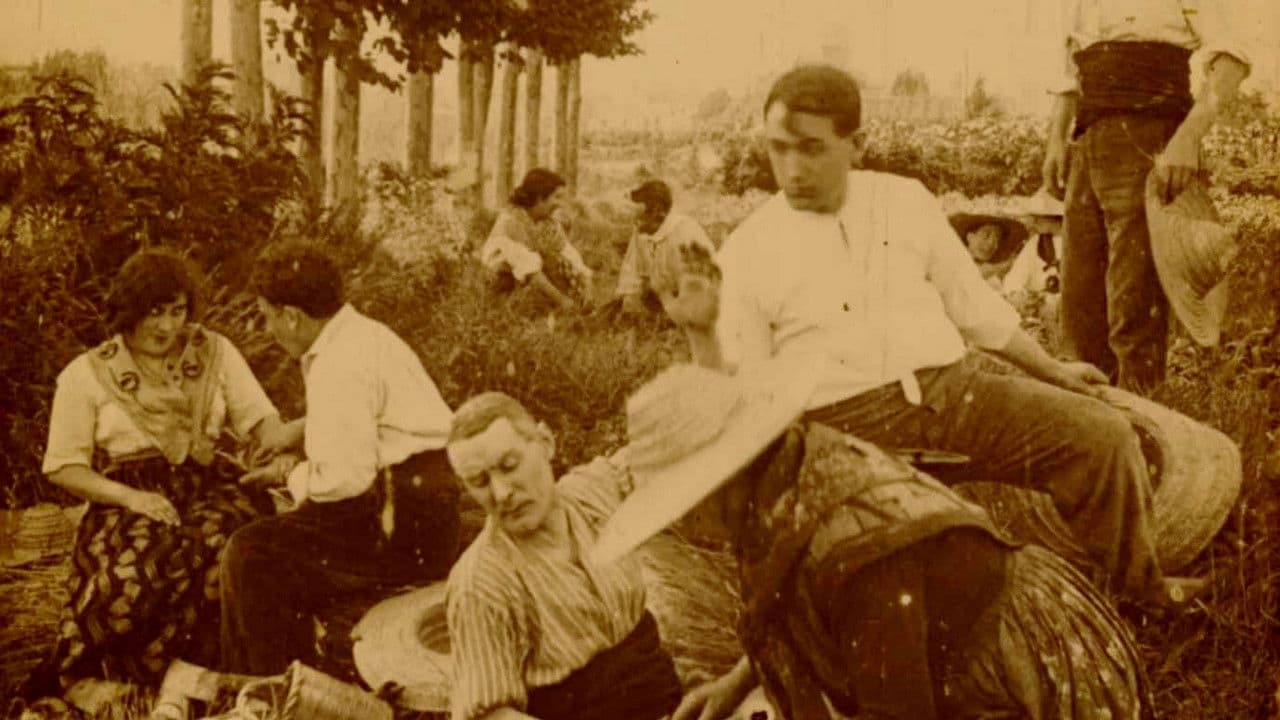 Backdrop – Lucha de corazones