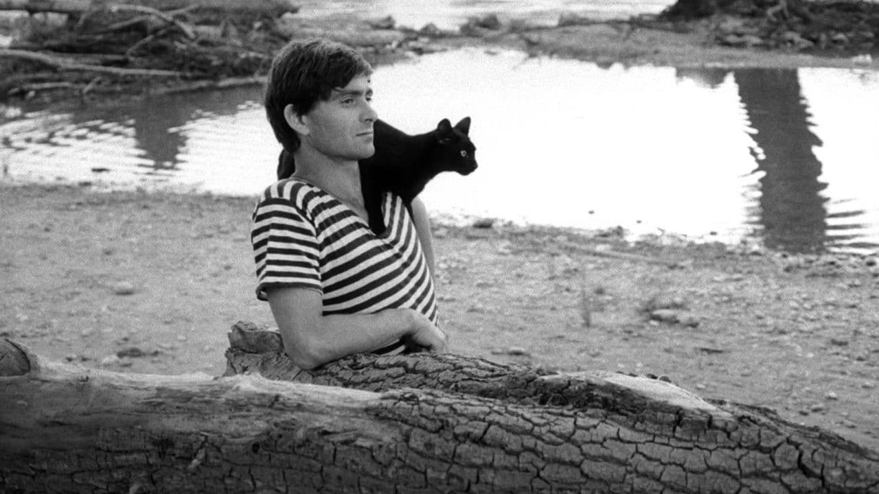 Backdrop – Panna zázračnica