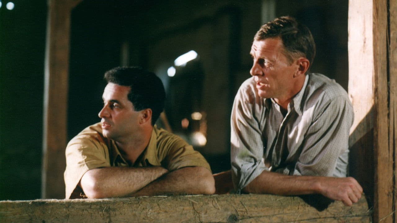 Backdrop – Zdivočelá země