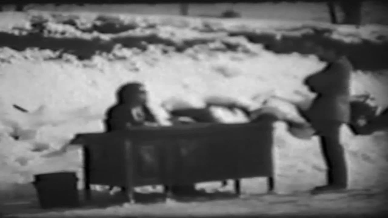 Backdrop – Nicky's Film