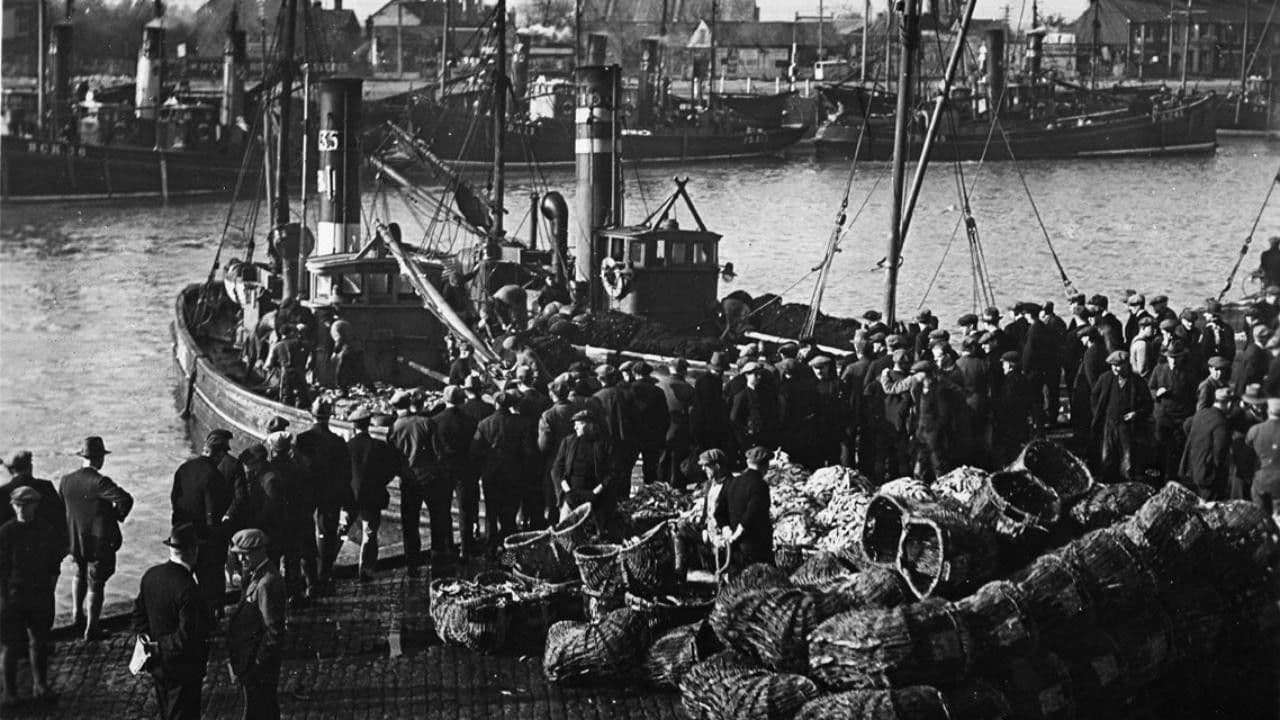 Backdrop – Drifters