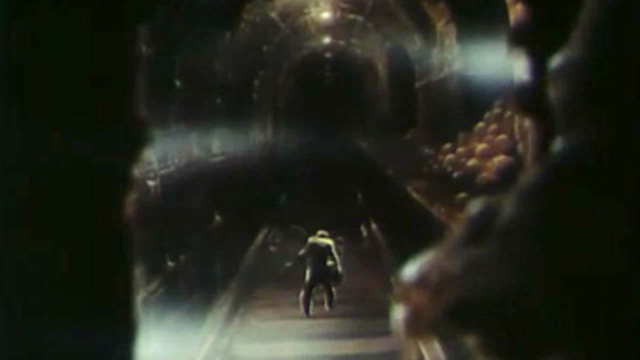 Backdrop – Гість