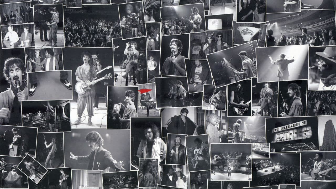 Backdrop – Frank Zappa: The Torture Never Stops