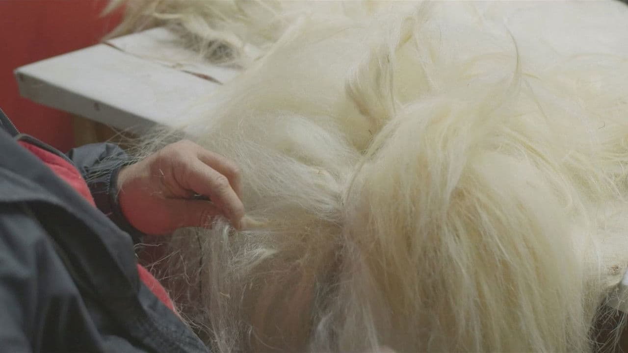 Backdrop – Под кожите