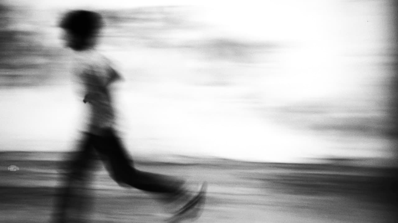 Backdrop – Seagull dog child