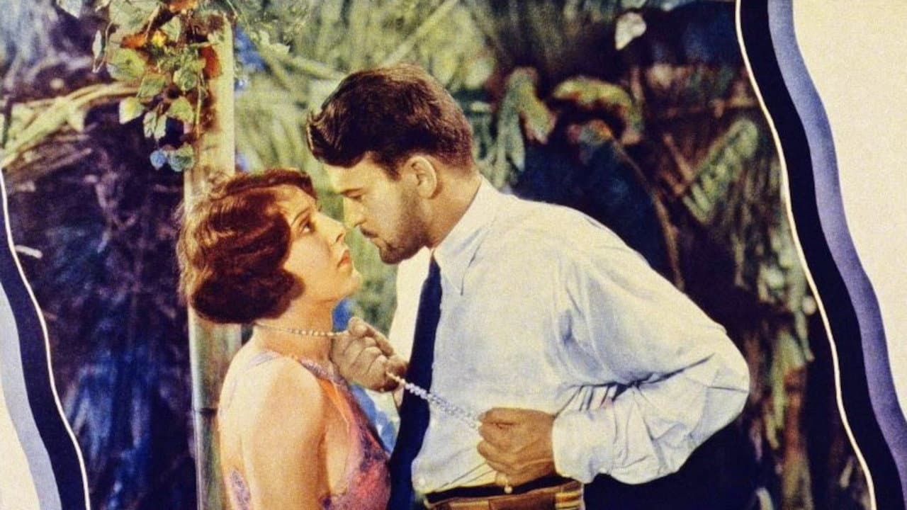 Backdrop – Tropical Nights