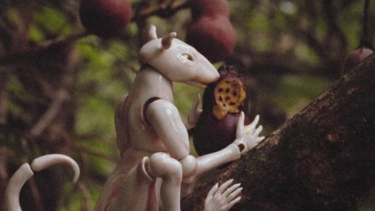 Backdrop – Talv vihmametsas