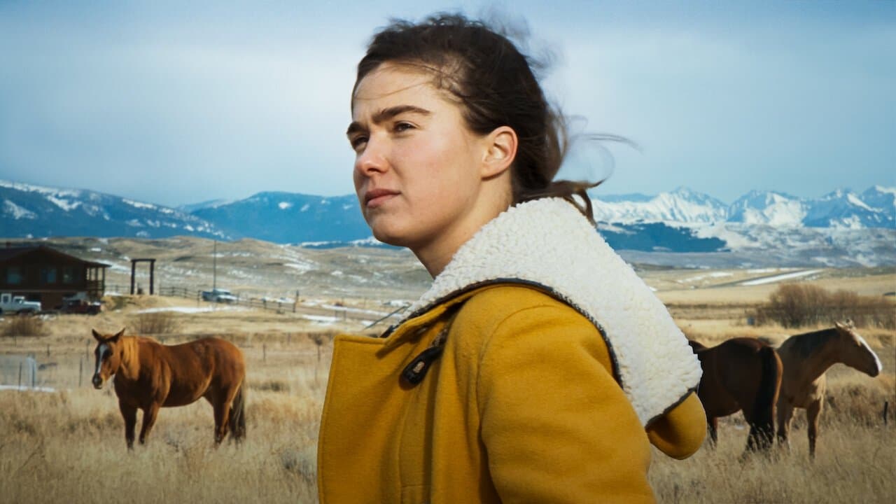 Backdrop – Montana Story