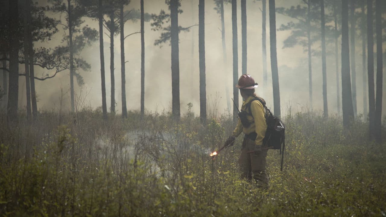 Backdrop – Anchor Point