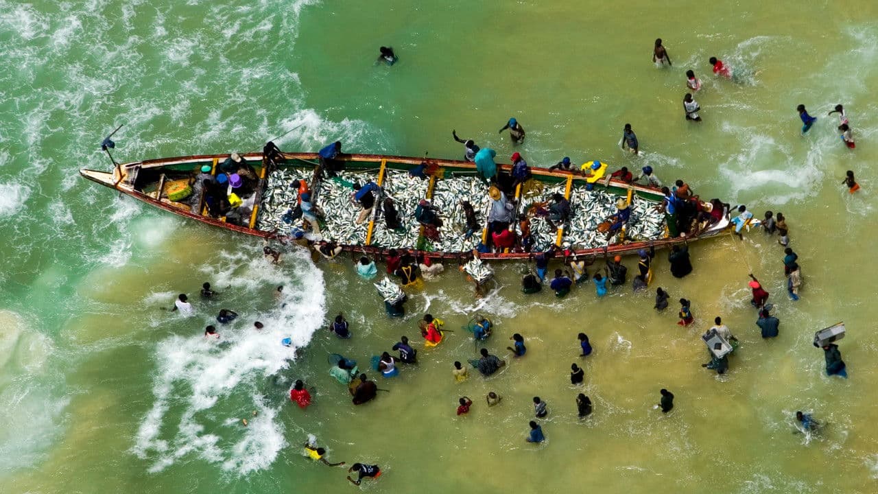 Backdrop – Razzia sur l'Atlantique