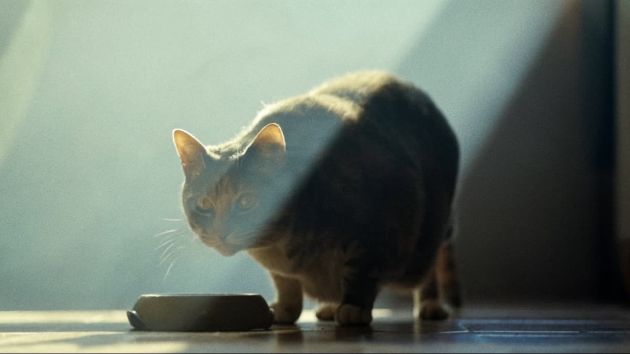 Backdrop – As Portas da Perceção