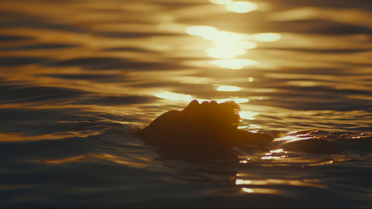 Backdrop – Estranho Caminho