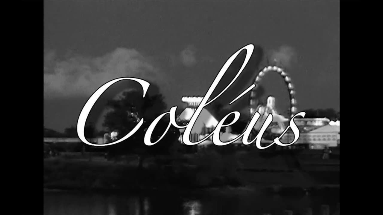 Backdrop – Coléus
