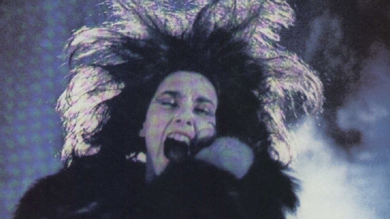 Backdrop – Ein Sommernachtstraum